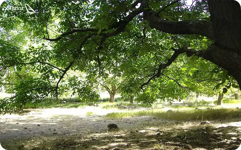 منطقه کوهستانی چهار گنبد