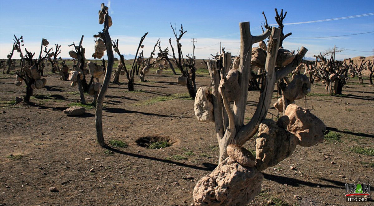 8rumq6slqm91182404071444